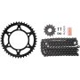 (image for) X-Ring Chain & Sprocket Kit for Kawasaki EX300 13-17