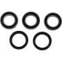 (image for) Race Series Rear Wheel Bearing Kit