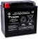 (image for) Yuasa High-Performance Factory-Activated AGM Maintenance-Free Battery 2113-0106