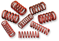 (image for) Andrews High-Lift Valve Spring Kit
