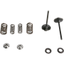 (image for) Stainless Steel Conversion Valve and Spring Kit - Intake