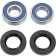 (image for) Rear Wheel Bearing and Seal Kit