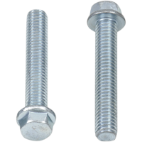 (image for) Replacement 8mm Hex-Head Flange Bolt M6 x 1.0 x 35