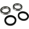 (image for) Front Wheel Bearing and Seal Kit