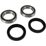 (image for) Front Wheel Bearing and Seal Kit