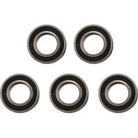 (image for) OEM Series Rear Bearing Pack (5-Pack) - 0215-1319