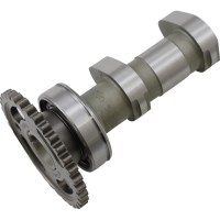 (image for) Hot Cams Racing Camshaft Intake - Kawasaki KX450F