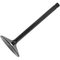 (image for) Nitrided Intake Valve Standard