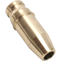 (image for) Intake Valve Guide
