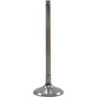 (image for) Tensilite Titanium Exhaust Valve