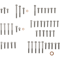 (image for) Engine Fastener Kit - KTM 125 SX 23-25