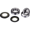 (image for) OEM Series Steering Stem Bearing Kit 0401-0111