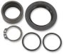 (image for) Countershaft Seal Kit 0935-0451
