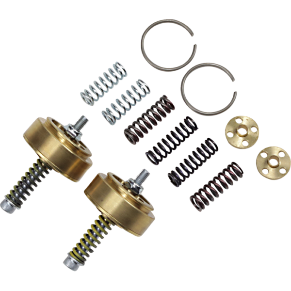 (image for) RACE TECH Gold Valve Cartridge Fork Emulator FEGV-S4301