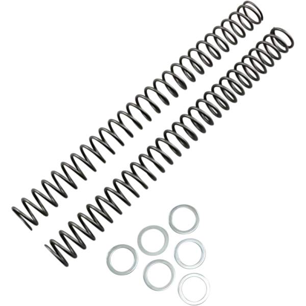 (image for) Race Tech Fork Spring 0405-0095