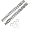 (image for) Race Tech Fork Spring 0405-0095