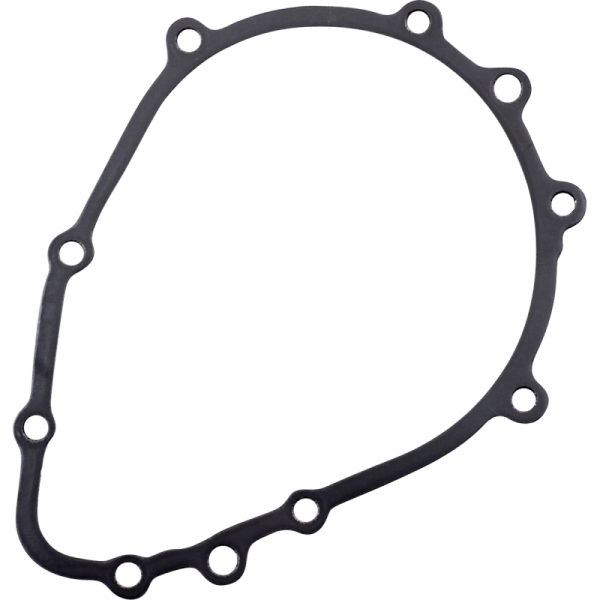(image for) RICK'S MOTORSPORT ELECTRIC Stator Gasket for Kawasaki ZX636C Ninja ZX-6R 05-06