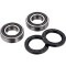 (image for) Front Wheel Bearing Kit - YAMAHA