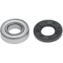 (image for) High Torque Bearing/Seal Kit
