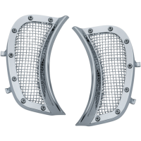 (image for) Mesh Headlight Vent Accent Chrome