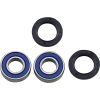 (image for) Front Wheel Bearings and Seal Kit