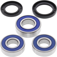 (image for) Rear Wheel Bearing and Seal Kit for Suzuki GW250 17
