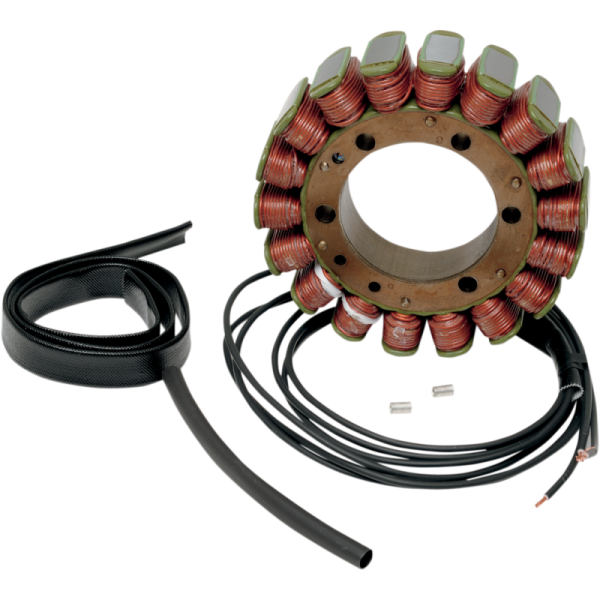 (image for) RICK'S MOTORSPORT ELECTRIC Stator for BMW F800S/ST 05-12