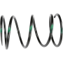 (image for) Secondary Spring, 140-220 lbs, Black/green