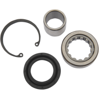 (image for) Inner Primary Bearing and Seal Kit (08-24 Big Twin)
