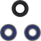 (image for) Rear Wheel Bearings and Seal Kit