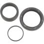 (image for) Countershaft Seal Kit 0935-0436