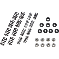 (image for) Lightweight Racing Valve Spring Kit 0926-3395