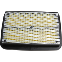 (image for) HifloFiltro Air Filter 1011-3863