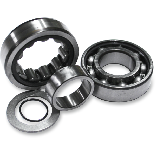 (image for) FEULING OIL PUMP CORP. Outer Cam Bearing Kit (Chain Drive)