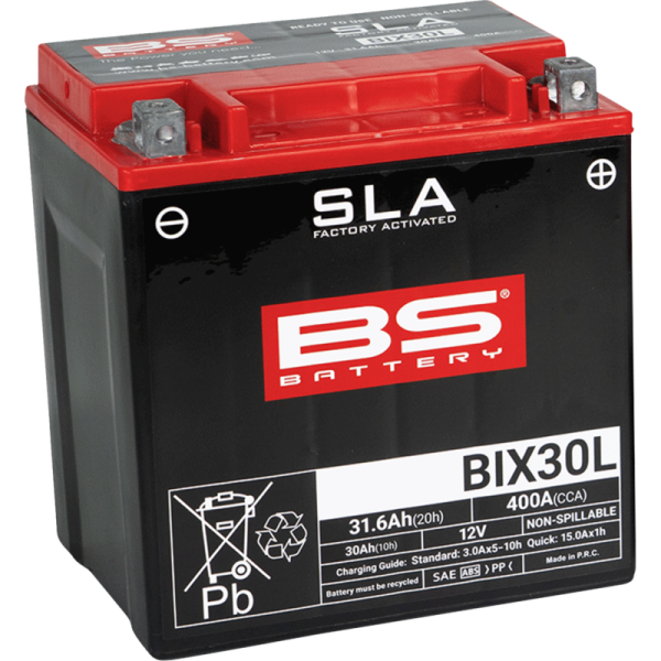 (image for) BS Battery SLA AGM 2113-0644