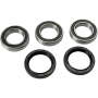 (image for) Rear Wheel Bearing and Seal Kit
