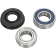 (image for) Drive Shaft Chain Case Bearing and Seal Kit