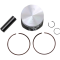 (image for) Vertex Piston Kit
