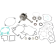 (image for) Hot Rods Bottom End Kit