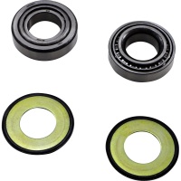 (image for) Steering Stem Bearing Kit 0410-0124
