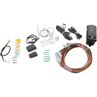 (image for) Thunder Heart Electronic Harness Controller