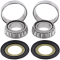 (image for) Neck Post Bearing and Race Kit (Repl. 45700009)