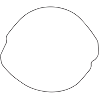 (image for) Vertex Outer Clutch Gasket Kit