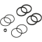 (image for) Caliper Seals Only Kit 1702-0126