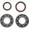 (image for) Crank Bearing and Seal Kit - BETA 520 RS 4T 14