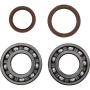 (image for) Crank Bearing and Seal Kit - BETA 520 RS 4T 14