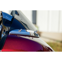 (image for) Windshield Spikes Chrome