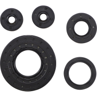 (image for) Engine Oil Seal Kit for Ski-Doo Summit 670 X 98-99
