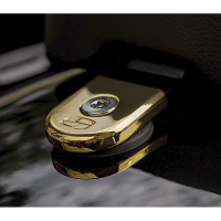 (image for) Security Seat Screw Gold