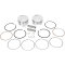 (image for) Piston Kit 113" Motor +0.020"